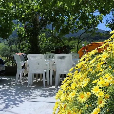 Apartmán Zuljana 252c